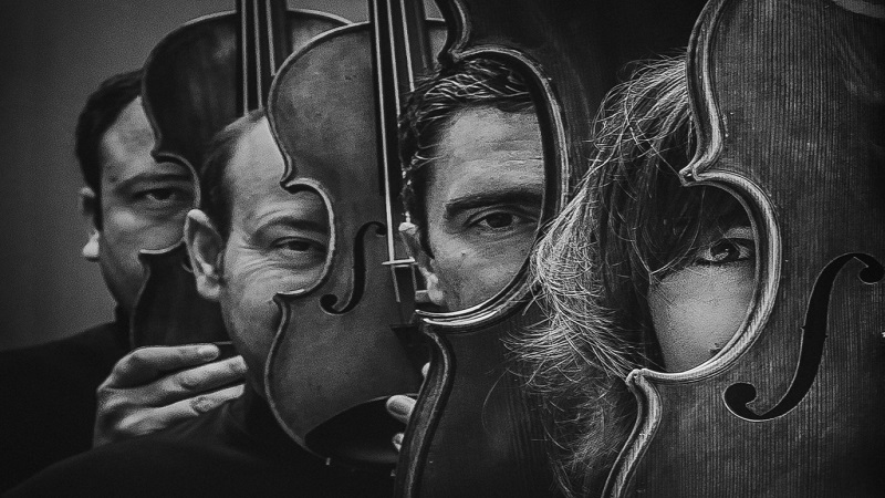 El cuarteto de cuerda Ornati lleva a La Palma, El Hierro y La Gomera su homenaje a Beethoven