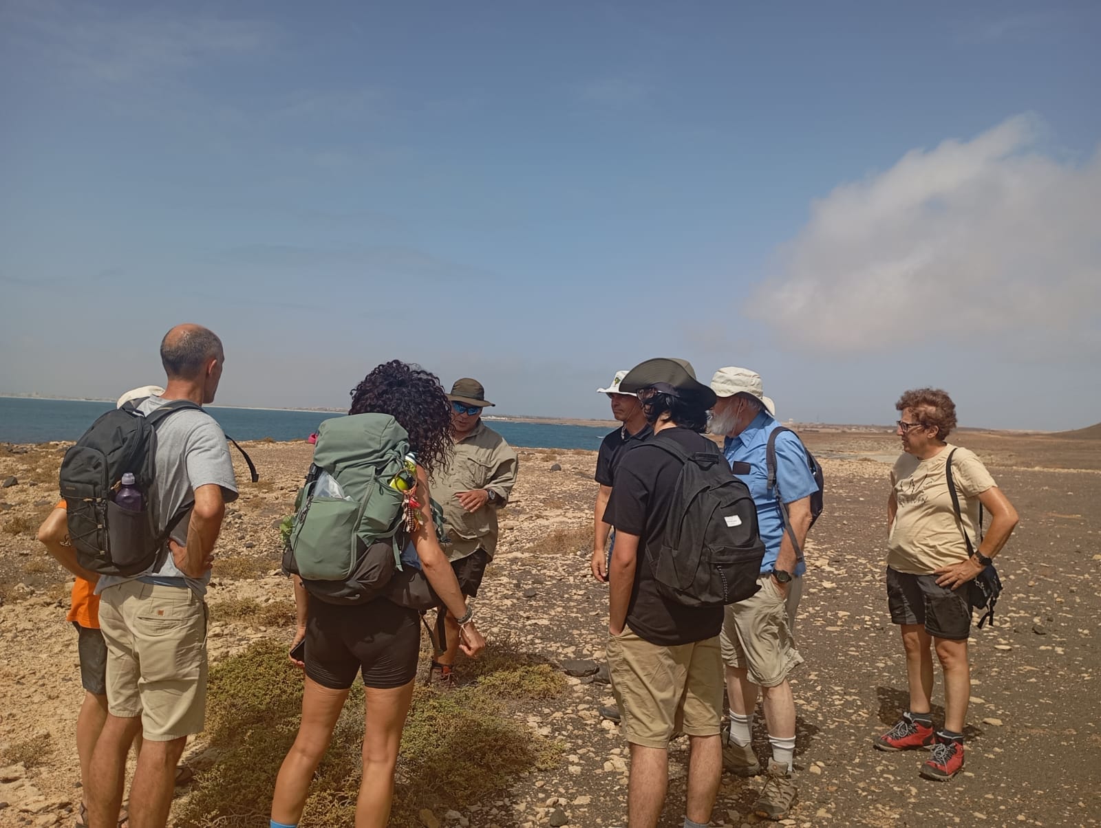 El MUNA contribuye a la investigación y divulgación del patrimonio paleontológico y geológico