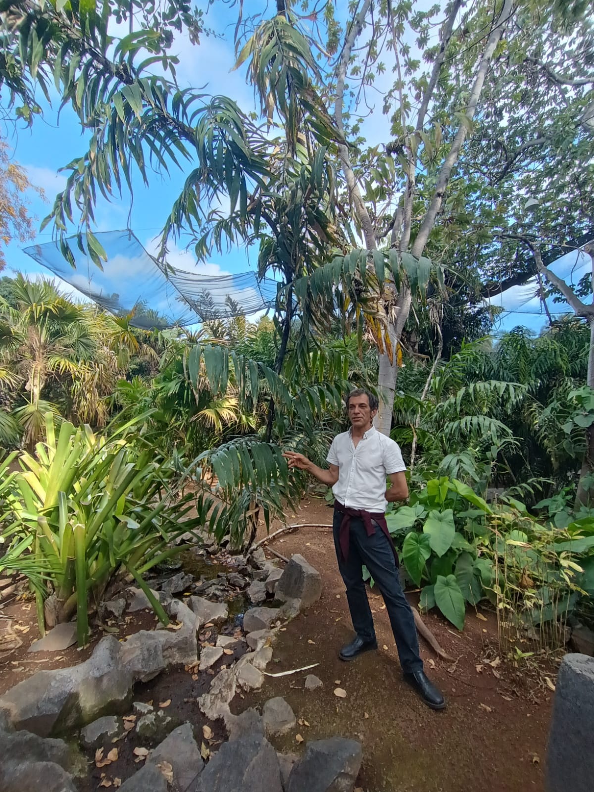 El MUNA acoge una conferencia sobre el futuro del arbolado en Santa Cruz a cargo de Carlo Moricci