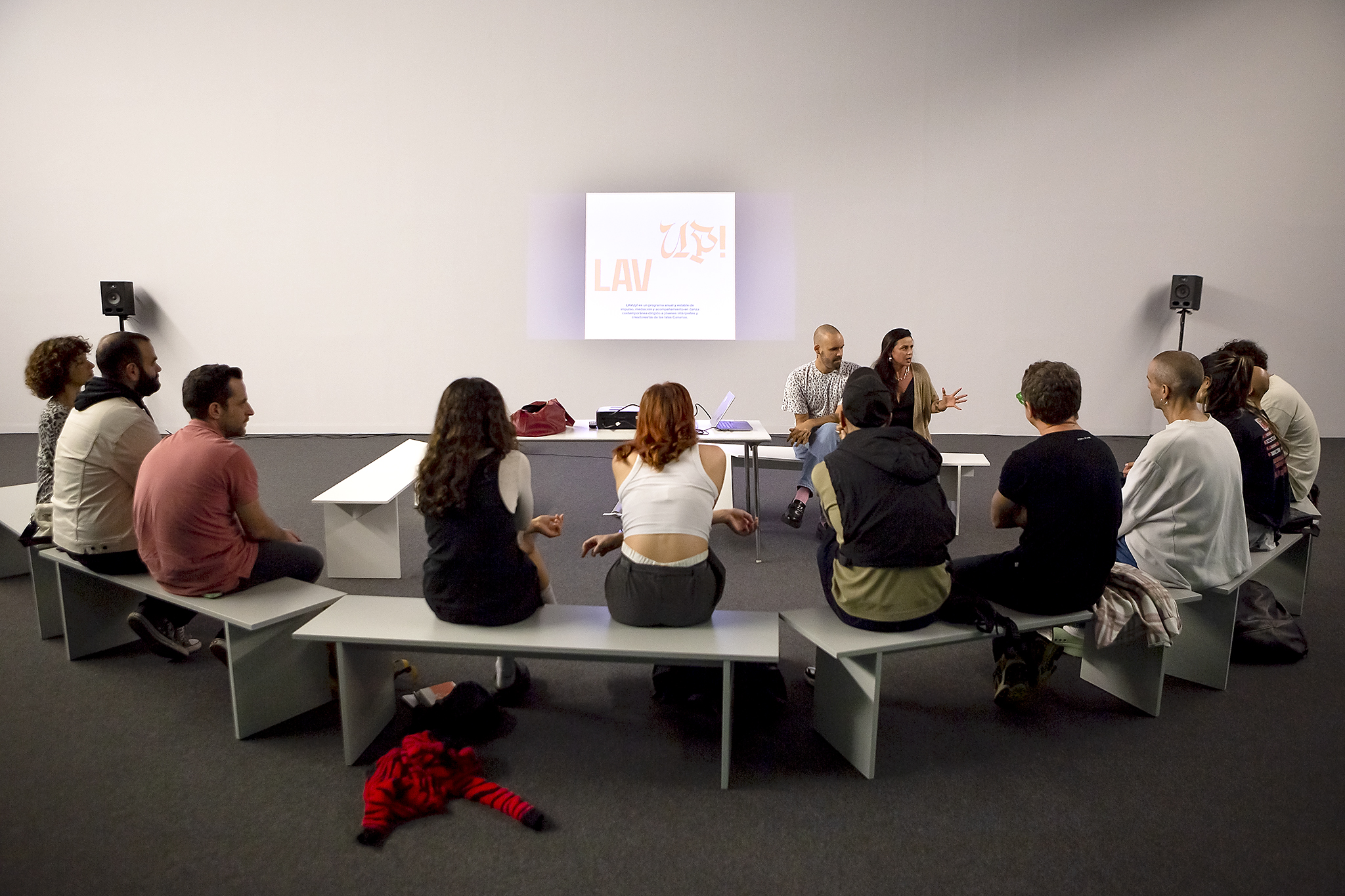 LAV Canarias denuncia que las ayudas a actividad cultural de Cabildo de Tenerife favorezcan a festivales y no diferencien por tipos de actividad