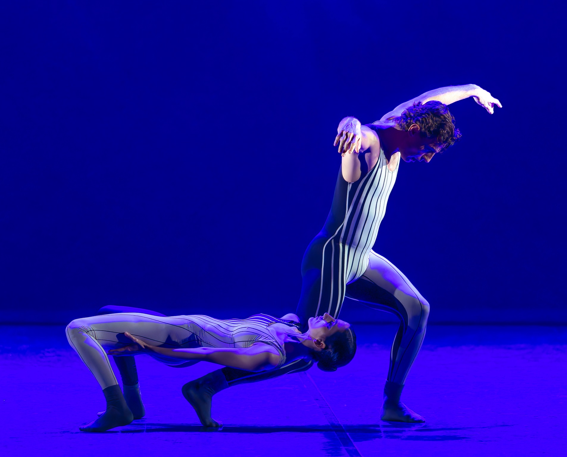 El Teatro Guiniguada acoge ‘Nuit en danse’, un abrazo entre la danza clásica y la contemporánea