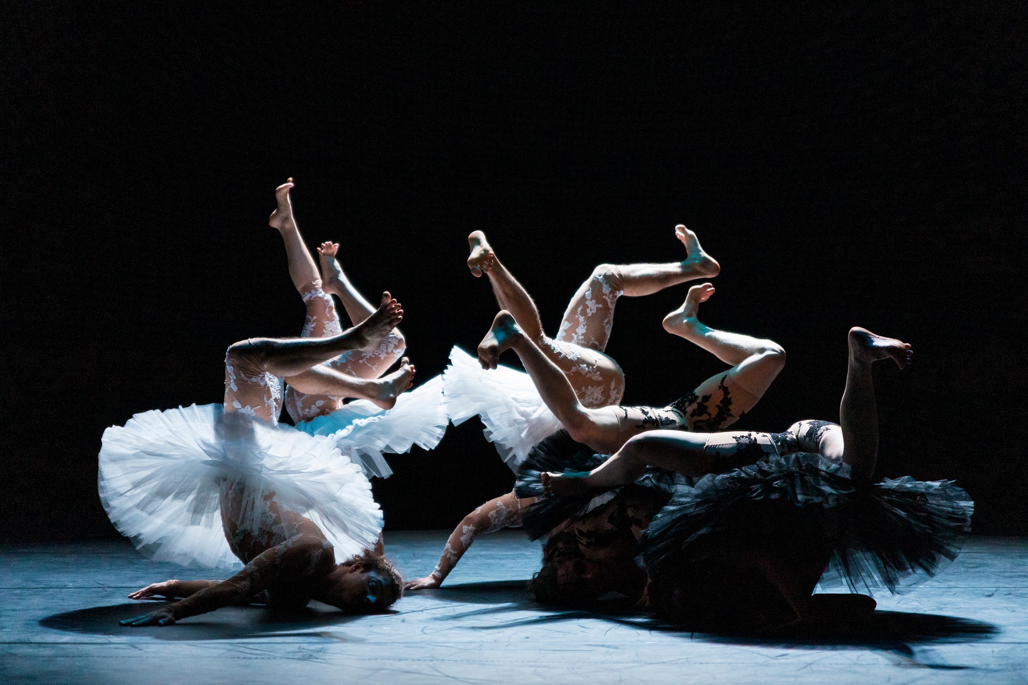 La francesa L’Eolienne cerrará el Festival TEMUDAS con su singular «Le lac des cygnes»