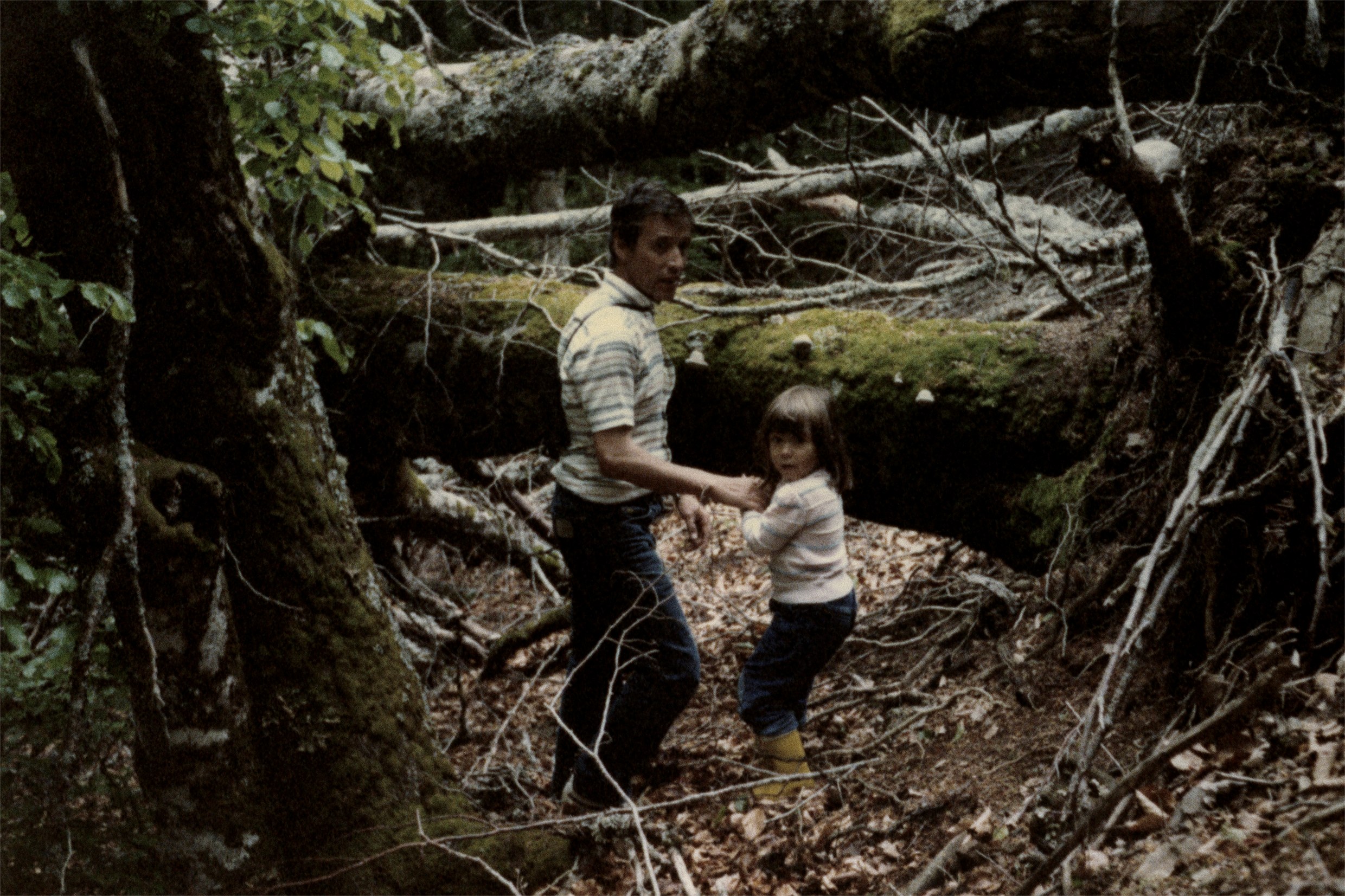 Fotonoviembre presenta en La Laguna ‘Mato Grosso’, de Raquel Bravo, y ‘Endémico’, de Daniel L. Fleitas