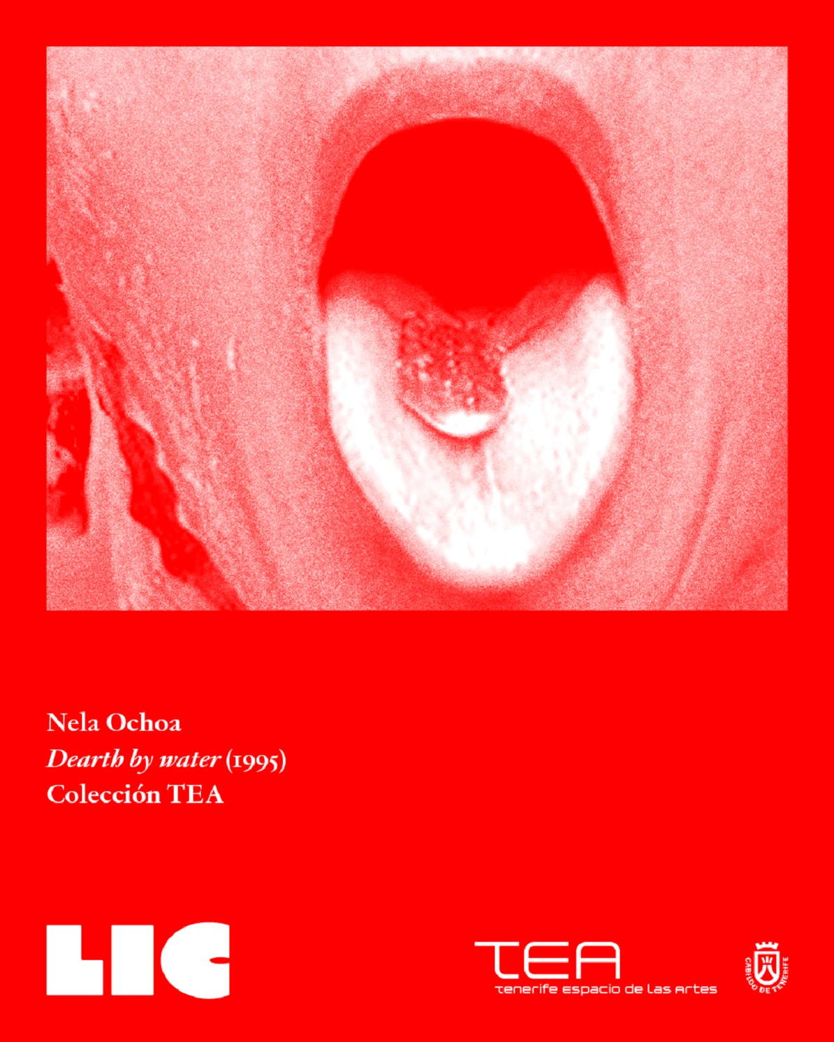 El museo TEA abre una nueva convocatoria para la formación de curadores y curadoras en Canarias