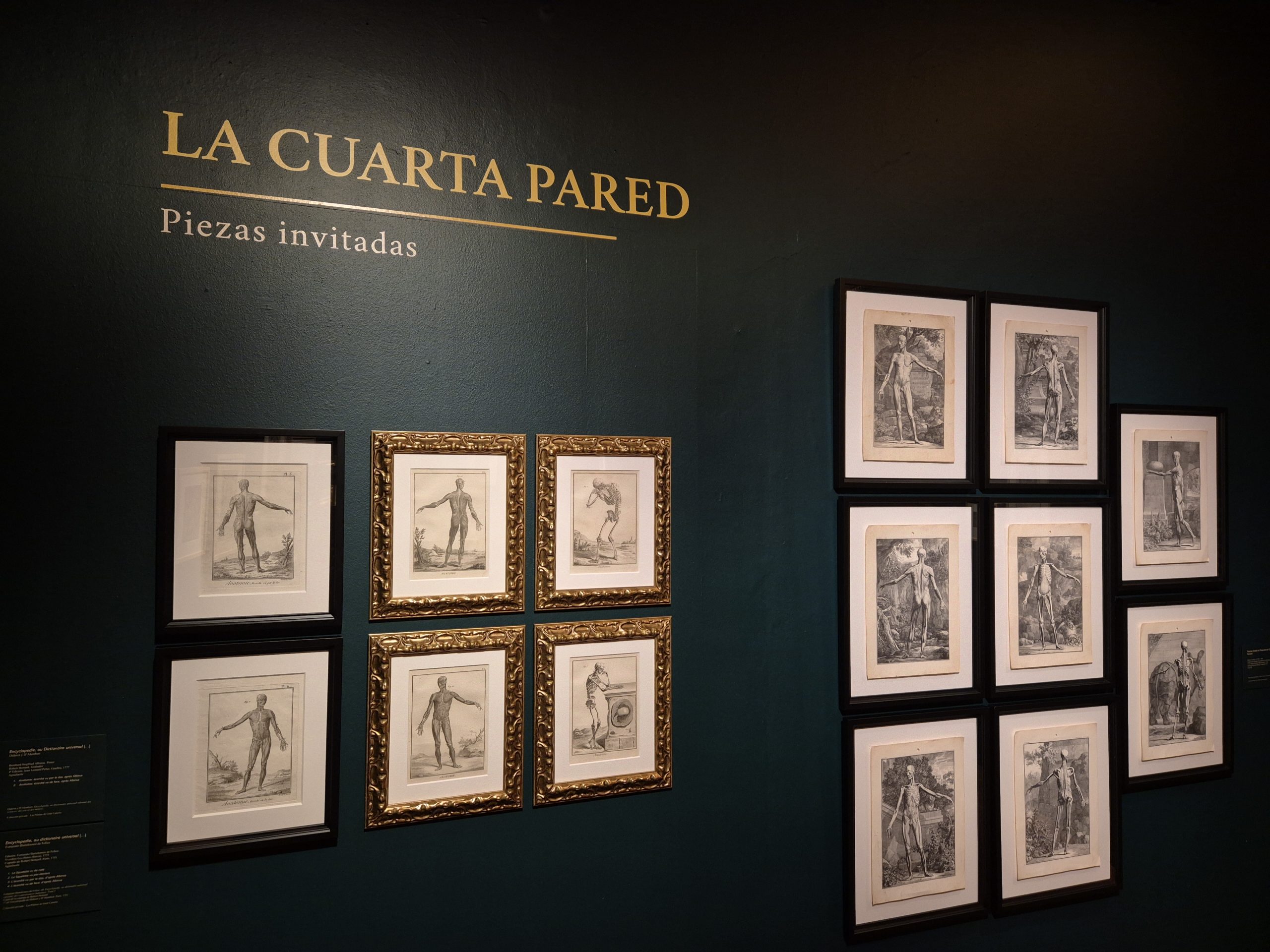 La Casa de Colón invita con una visita guiada a descubrir la micro-muestra ‘La cuarta pared. Anatomías’