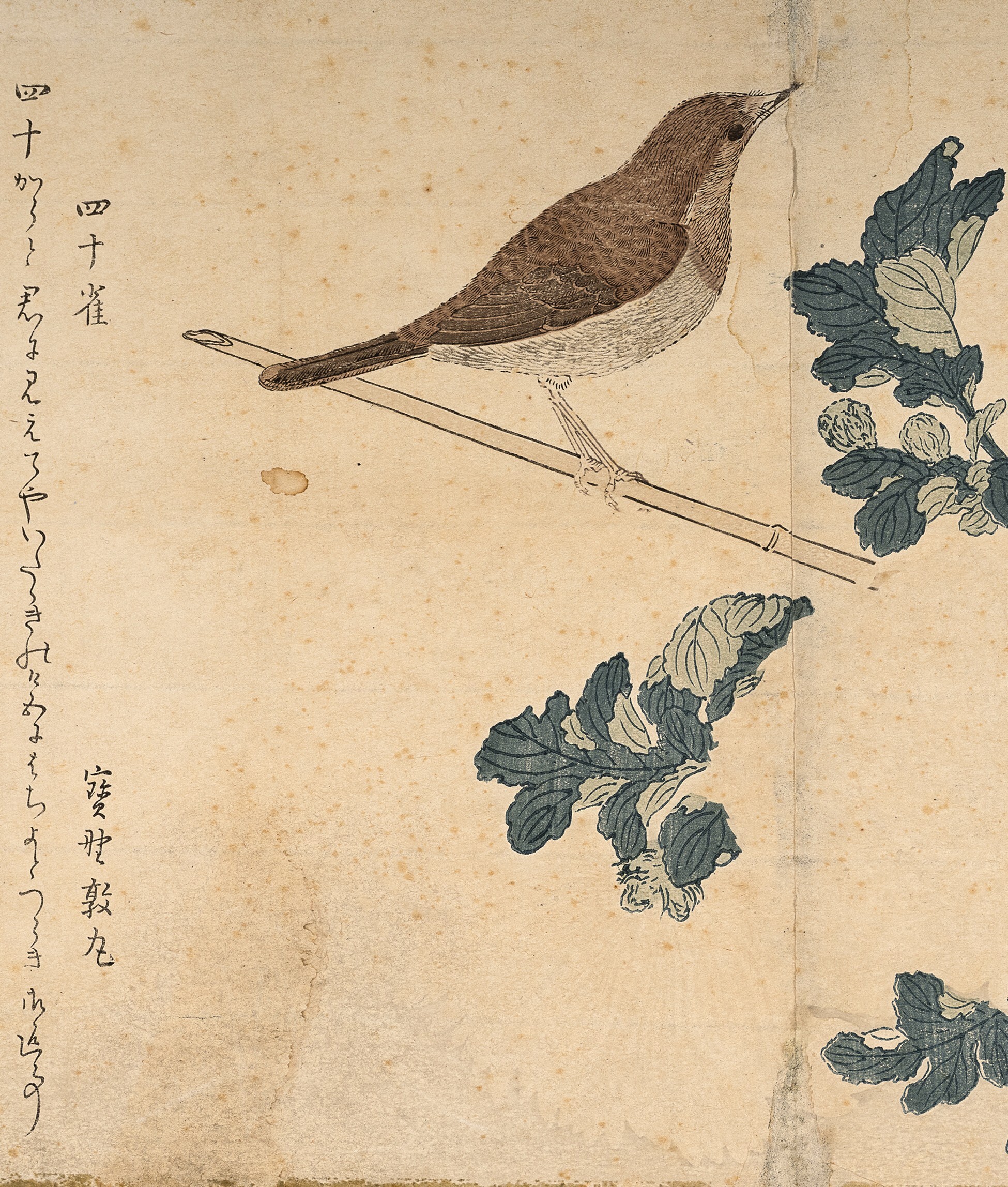 La Casa de Colón propone una visita guiada a ‘La estampa japonesa. Ukiyo-e’ en el espacio La Cuarta Pared