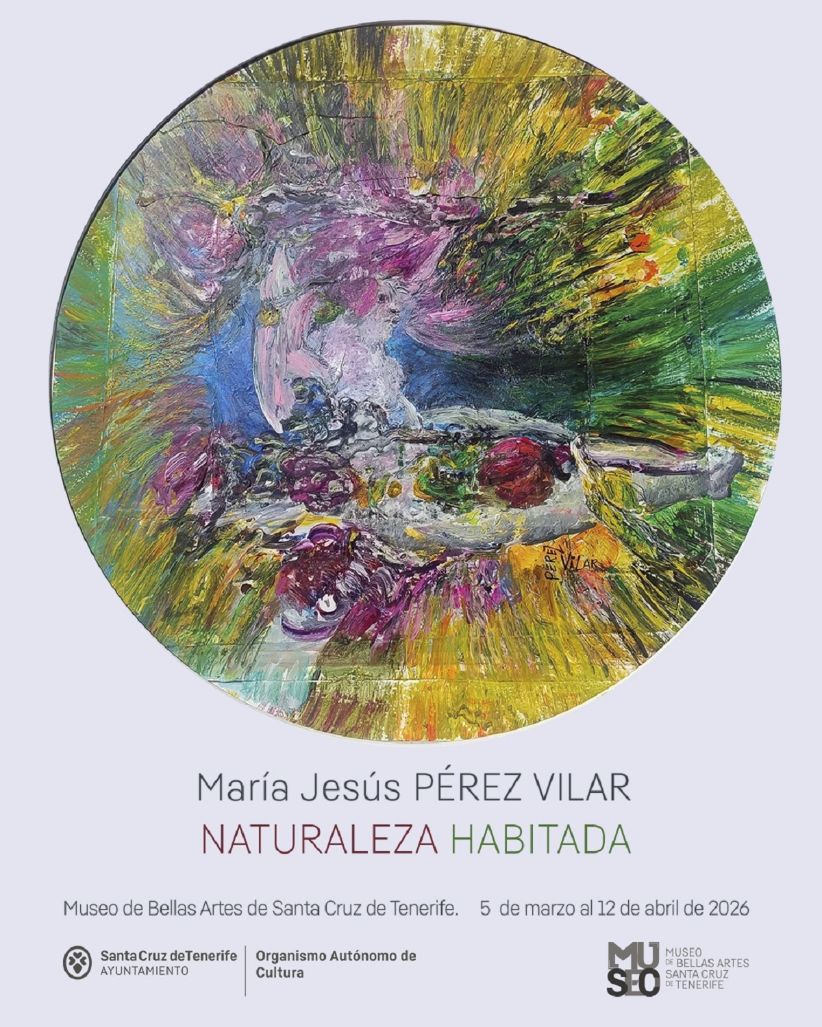 Santa Cruz inaugura la exposición “Naturaleza habitada” en el Museo de Bellas Artes