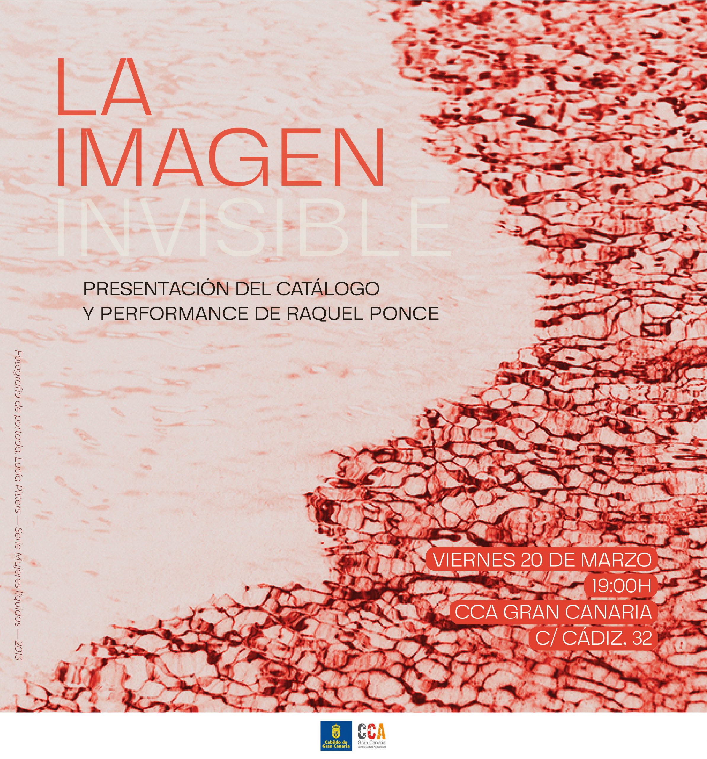 Asiria Álvarez sistematiza y documenta en un catálogo el trabajo de 140 mujeres creadoras del ámbito del audiovisual y la fotografía