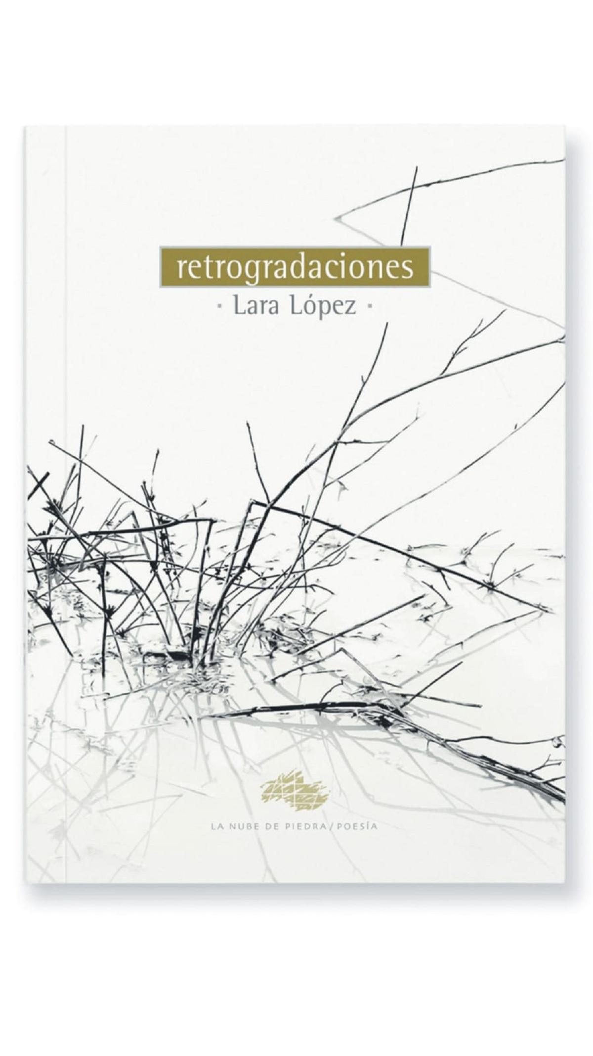 Lara López reúne más de dos décadas de escritura fragmentaria y elusiva en su nuevo poemario ‘Retrogradaciones’