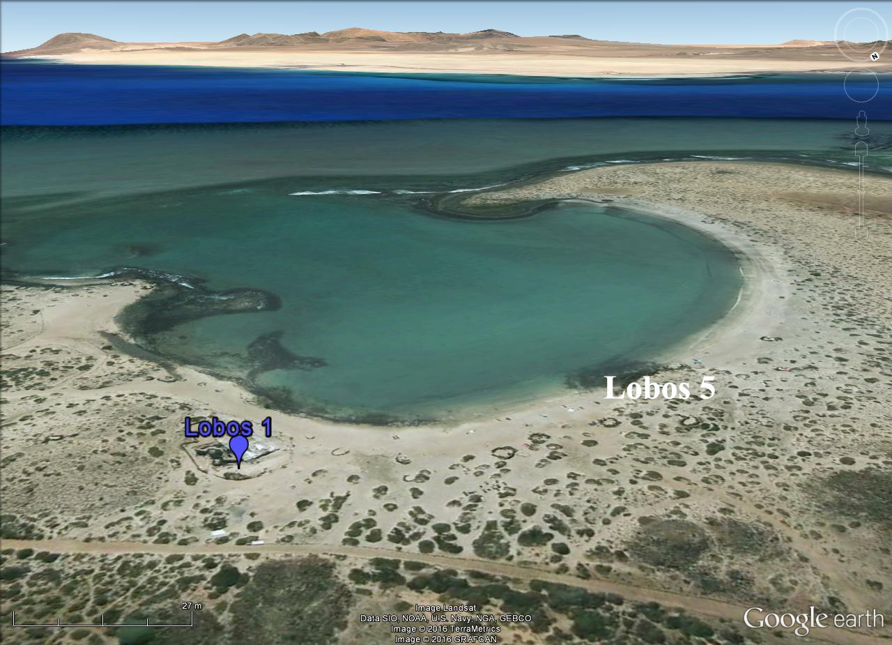 Comienza la XI campaña de excavaciones arqueológicas en el islote de Lobos
